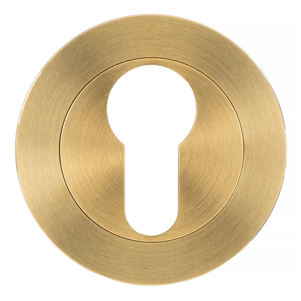 Frisco Eclipse 52x8mm Euro Profile Escutcheon SS304 - Pack of 2 - JJ Building Materials