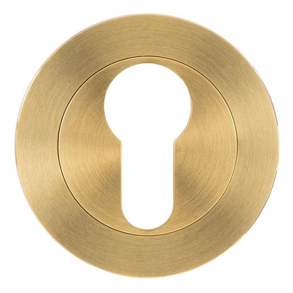 Frisco Eclipse 52x8mm Euro Profile Escutcheon SS304 - Pack of 2 - JJ Building Materials