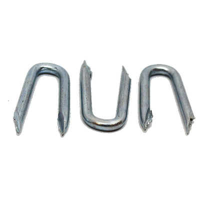 Galvanised Staples - 25kg Boxes - JJ Building Materials