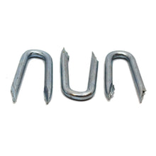 Galvanised Staples - 25kg Boxes - JJ Building Materials