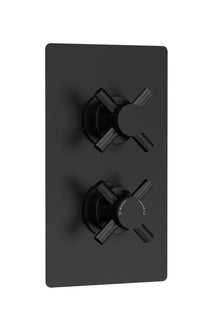Hudson Reed Tec Crosshead Twin Thermostatic Shower Valve Contemp Matt Black Brass Abs 215x120x138mm - JJ Building Materials