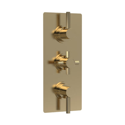 Hudson Reed Tec Pura Triple Thermostatic Shower Valve Contemp Brushed Brass Brass Abs 280x80x136mm - JJ Building Materials