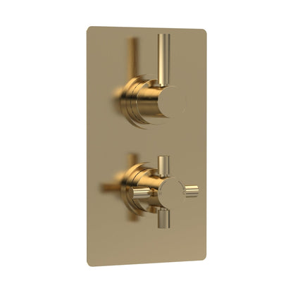 Hudson Reed Tec Pura Twin Thermostatic Shower Valve Contemp Brushed Brass Brass Abs 215x120x137mm - JJ Building Materials