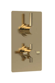 Hudson Reed Tec Pura Twin Thermostatic Shower Valve Contemp Brushed Brass Brass Abs 215x120x137mm - JJ Building Materials