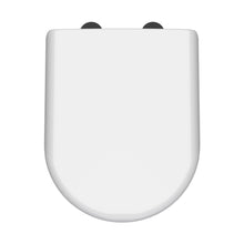 Hudson Reed Toilet Seats D Shaped Soft Close Toilet Seat Contemp Gloss White Urea 70x364x446mm - NTS004B - JJ Building Materials