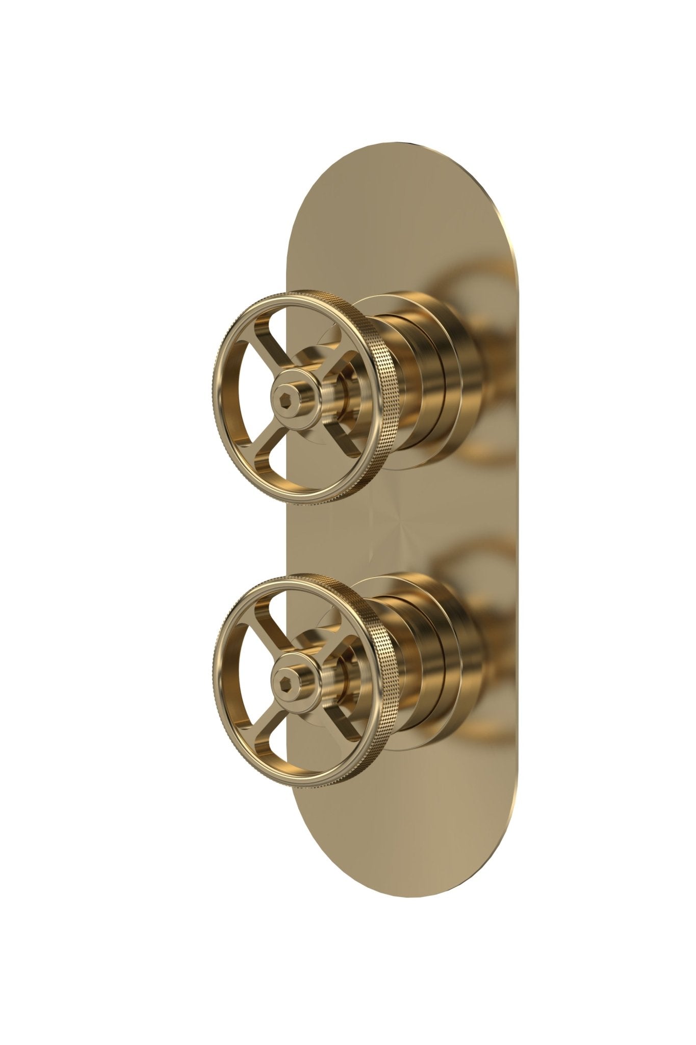 Nui 1 Outlet Valves Twin Valve Traditional Brushed Brass Brass ABS 215x80x136mm - JJ Building Materials