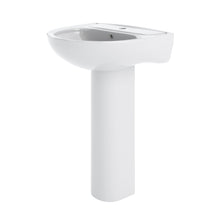 Nui Lawton 550mm Basin & Pedestal Contemporary White Vitreous China 850x550x480mm - JJ Building Materials