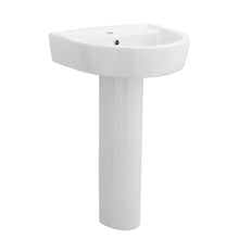 Nui Provost 520mm Basin & Pedestal Contemporary White Vitreous China 825x520x450mm - JJ Building Materials