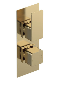Nui Twin Thermostatic Valve Contemporary Brushed Brass Brass ABS 215x80x135mm - JJ Building Materials