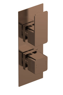 Nui Windon Twin Thermostatic Valve With Diverter Contemporary Brushed Brass ABS,brass 215x80x135mm - JJ Building Materials
