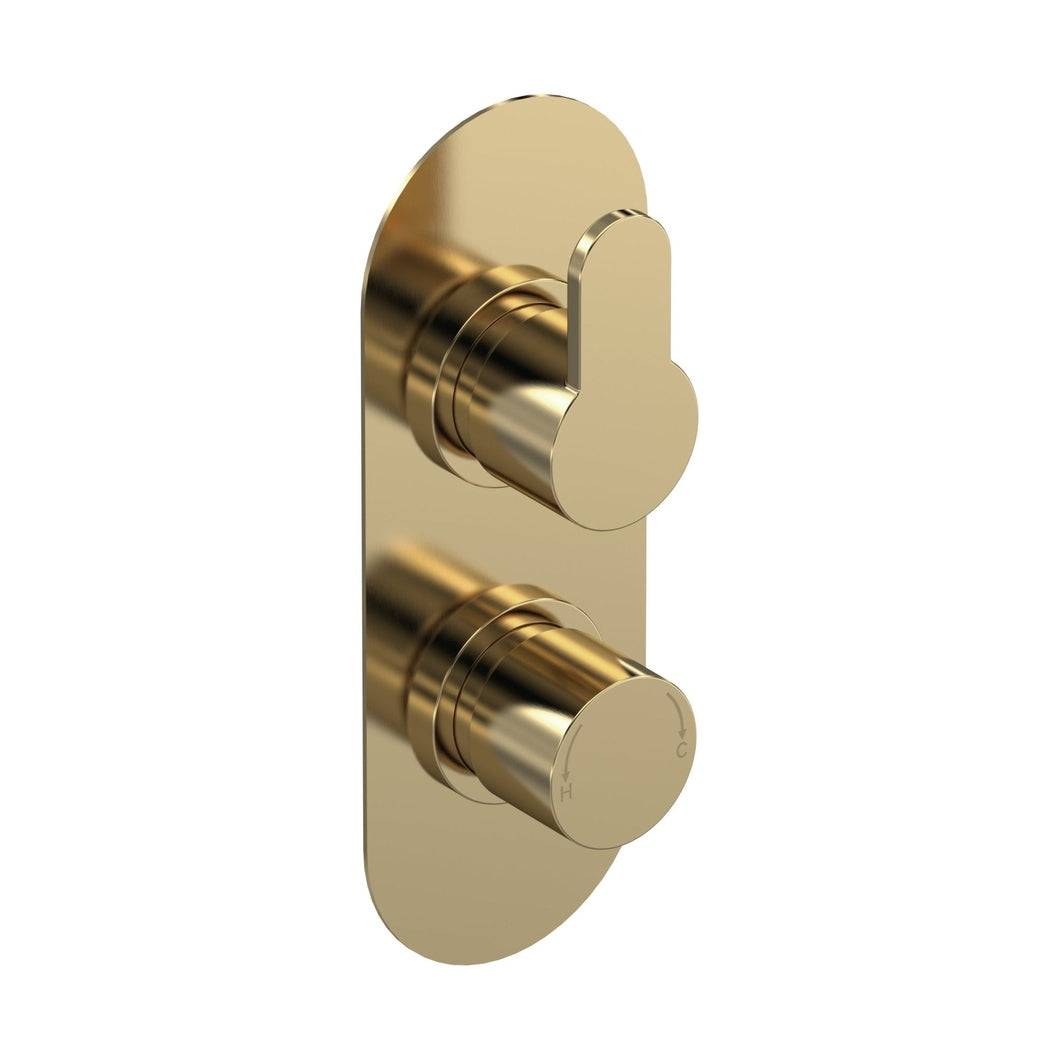 Nuie Arvan Twin Thermostatic Valve Contemporary Brushed Brass Brass ABS 215x80x136mm - JJ Building Materials