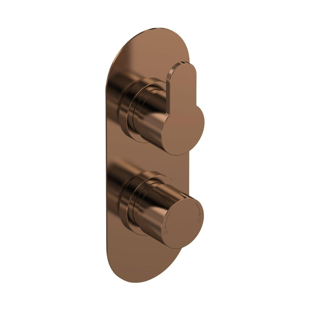 Nuie Arvan Twin Thermostatic Valve With Diverter Contemporary Brushed Bronze ABS,brass 215x80x136mm - JJ Building Materials