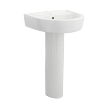 Nuie Provost 520mm Basin & Pedestal Contemporary White Vitreous China 825x520x450mm - JJ Building Materials