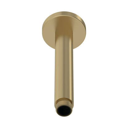 Nuie Shower Arms Wall-mounted Arm Contemporary Brushed Brass Brass 225x63x63mm - JJ Building Materials