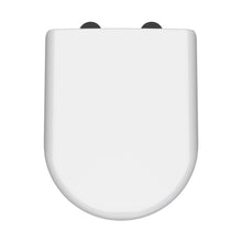 Nuie Toilet Seats D Shaped Soft Close Toilet Seat Contemporary Gloss White Urea 70x364x446mm - NTS004B - JJ Building Materials