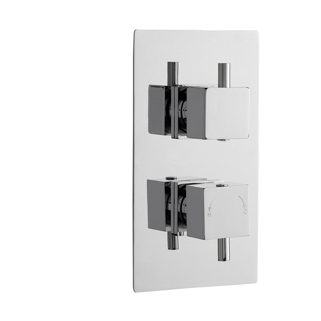 Nuie Twin Thermostatic Shower Valve Contemporary Chrome Brass ABS 215x120x133mm - JJ Building Materials