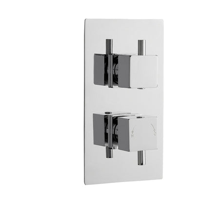 Nuie Twin Thermostatic Shower Valve Contemporary Chrome Brass ABS 215x120x133mm - JJ Building Materials