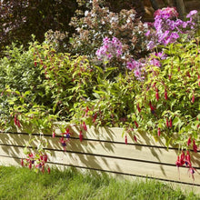 Rowlinson 8" Ledbury Slat Garden Border Edging - JJ Building Materials