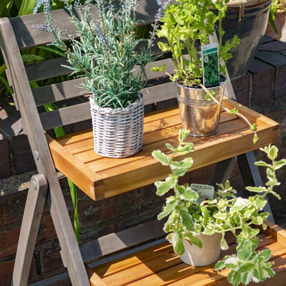 Rowlinson Alderley Plant Ladder - JJ Building Materials