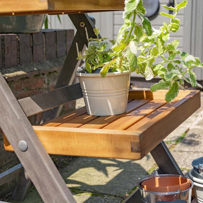 Rowlinson Alderley Plant Ladder - JJ Building Materials