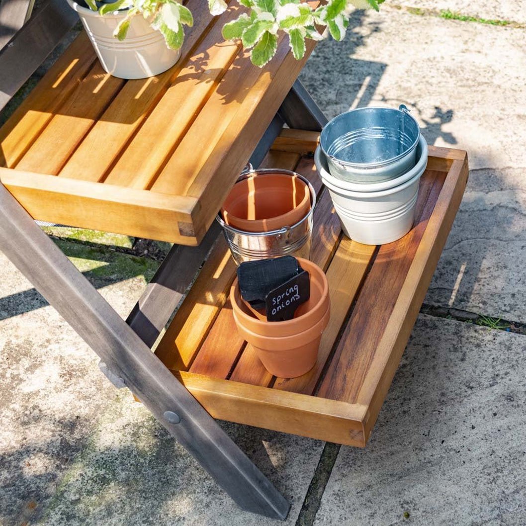 Rowlinson Alderley Plant Ladder - JJ Building Materials