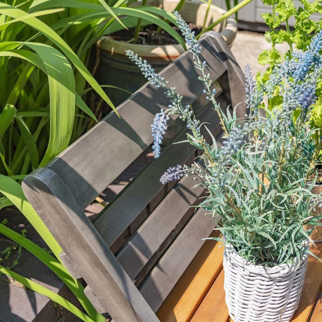 Rowlinson Alderley Plant Ladder - JJ Building Materials