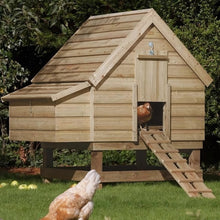 Rowlinson Chicken Coop