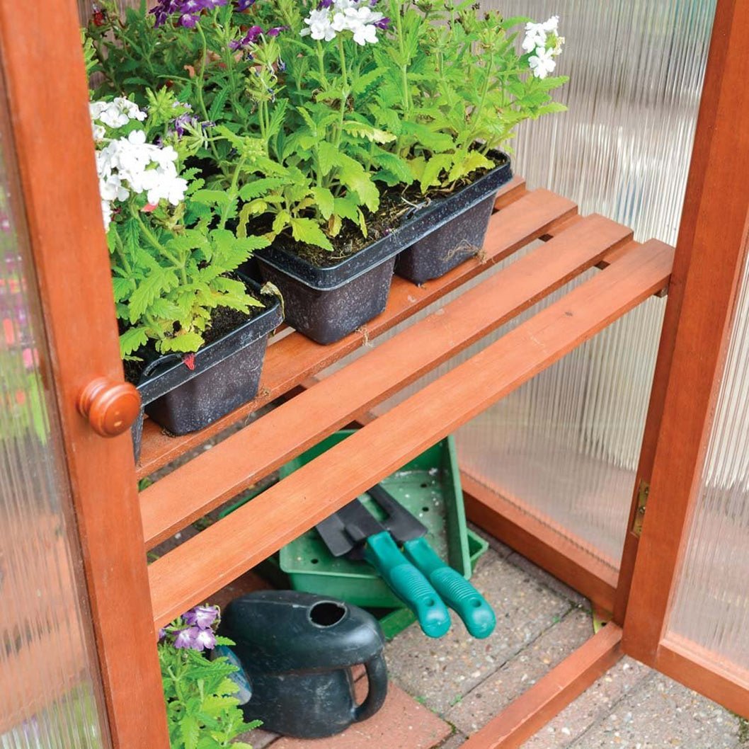 Rowlinson Hardwood Mini Greenhouse - JJ Building Materials