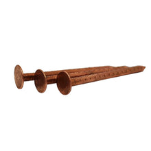 SAMAC Copper Clout Nails - 1kg - JJ Building Materials