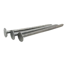 Samac Fixings Galvanised Clout Nails - 25kg box - JJ Building Materials