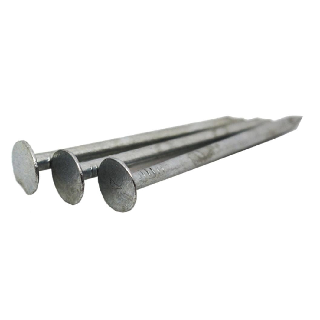SAMAC Galvanised ELH Nail - 1Kg - JJ Building Materials