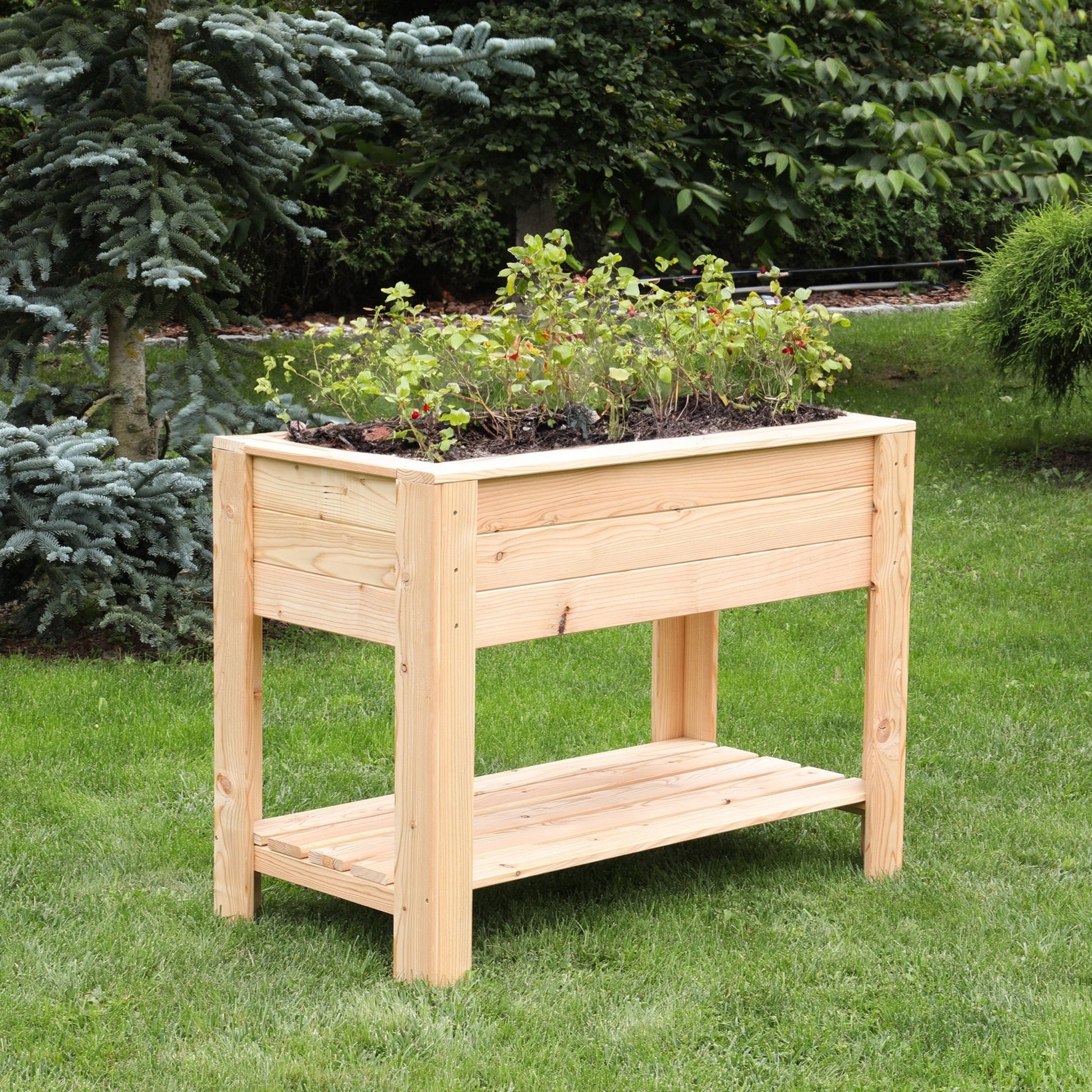 Shire Dan Larch Planter - JJ Building Materials