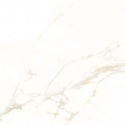 Verona Goldman Wall & Floor Tile 600x600mm - JJ Building Materials