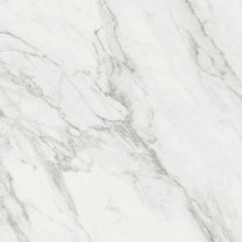 Verona Terma White Wall & Floor Tile 600x600mm - JJ Building Materials
