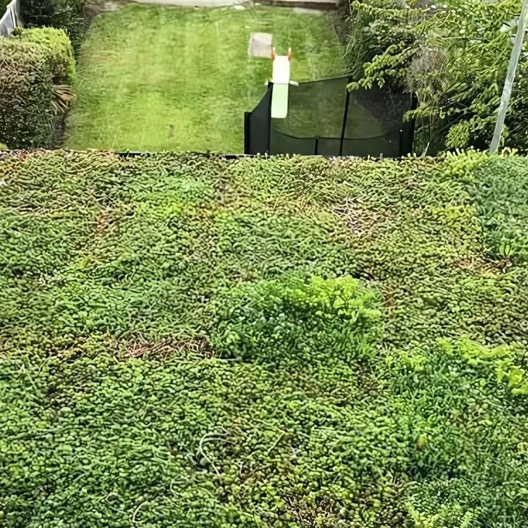 Wallbarn M - Tray Modular Green Roof System - JJ Building Materials