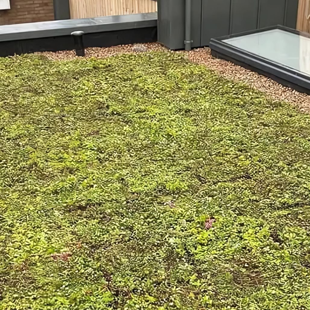 Wallbarn M - Tray Modular Green Roof System - JJ Building Materials