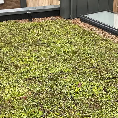 Wallbarn M - Tray Modular Green Roof System - JJ Building Materials