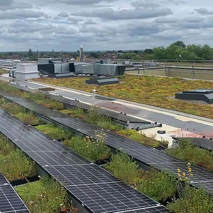 Wallbarn M-Tray Wildflower Modular Green Roof System