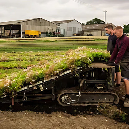 Wallbarn M - Tray Wildflower Modular Green Roof System - JJ Building Materials