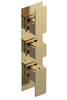 Nui Windon Triple Thermostatic Valve With Diverter Contemporary Brushed Brass Brass ABS 300x80x135mm